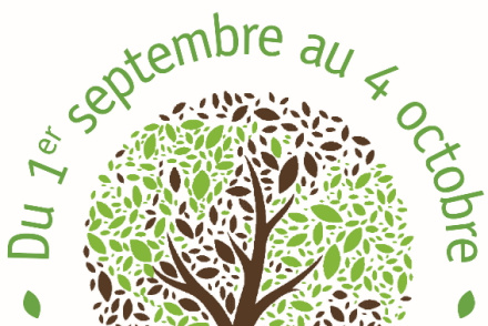 oeku-saison de la création photo FR